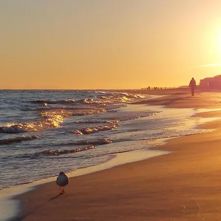 2 Bedroom Beautiful In Mrzezyno